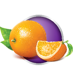 Oranges in a purple circle