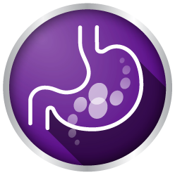Purple Digestive System