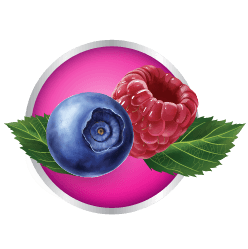 Blueberry and Raspberry in Purple Circle
