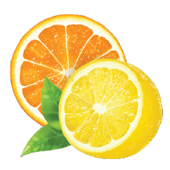 Orange and lemon